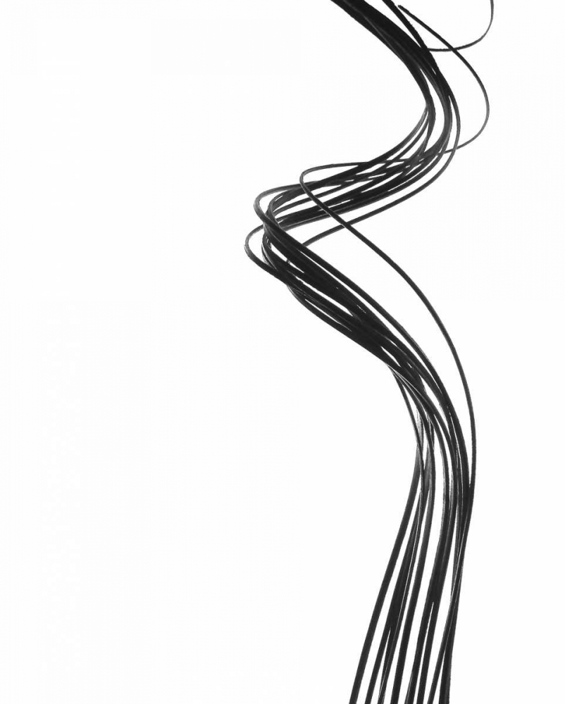 Swirls I art print by Monika Burkhart for $57.95 CAD