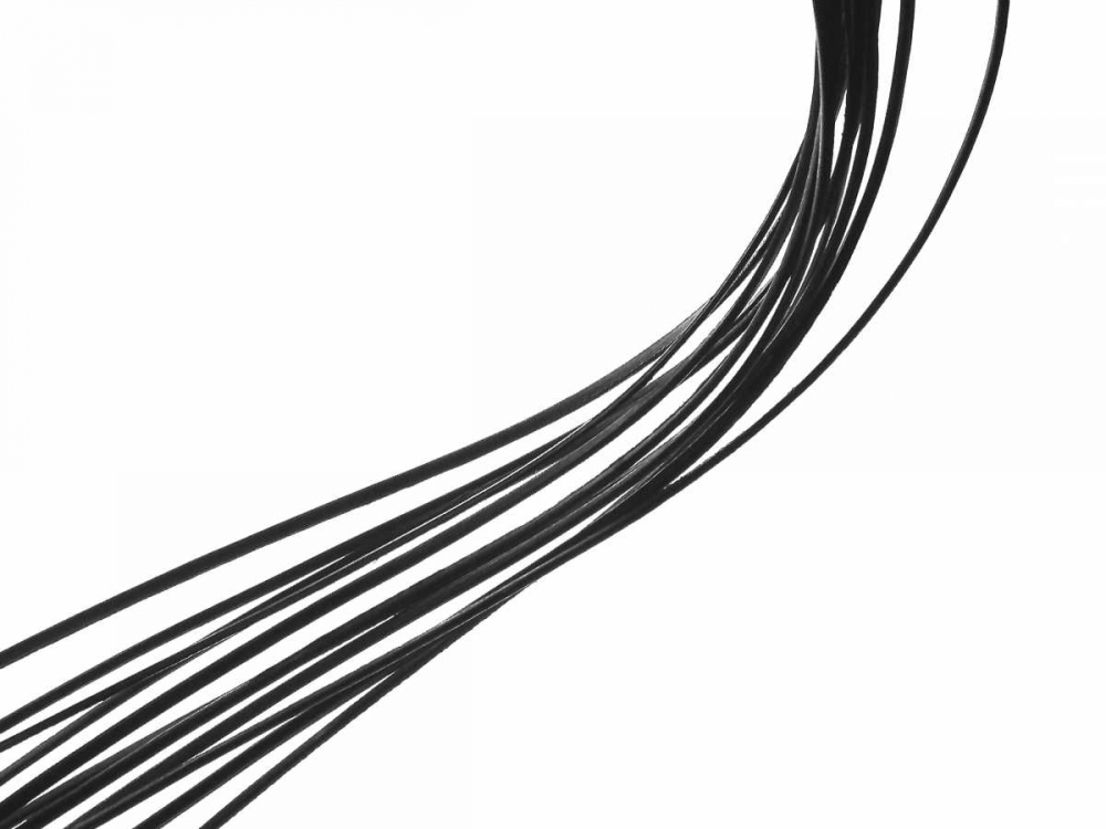 Swoop II art print by Monika Burkhart for $57.95 CAD