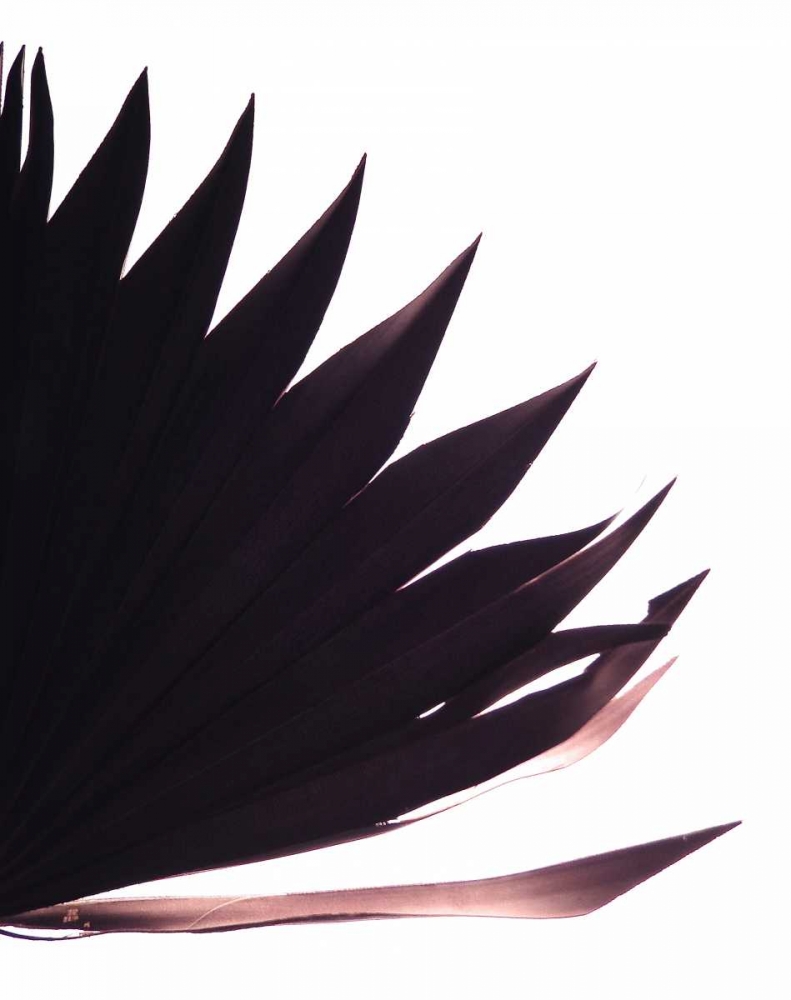 Backlit I art print by Monika Burkhart for $57.95 CAD
