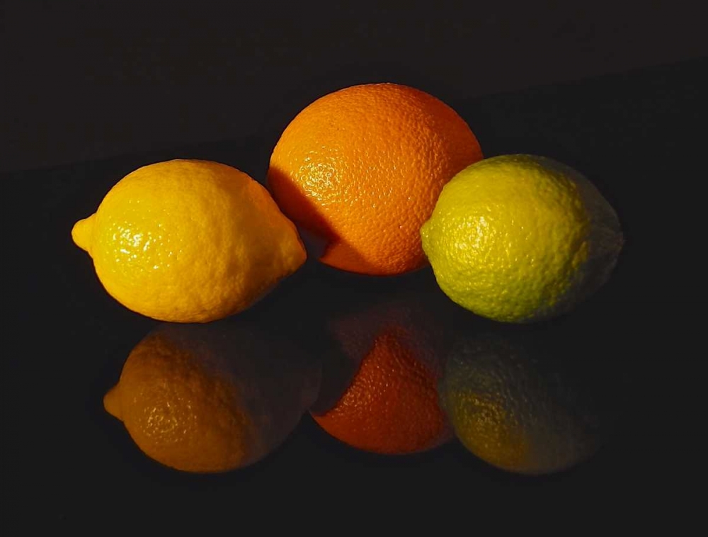 Citrus Reflections art print by Monika Burkhart for $57.95 CAD