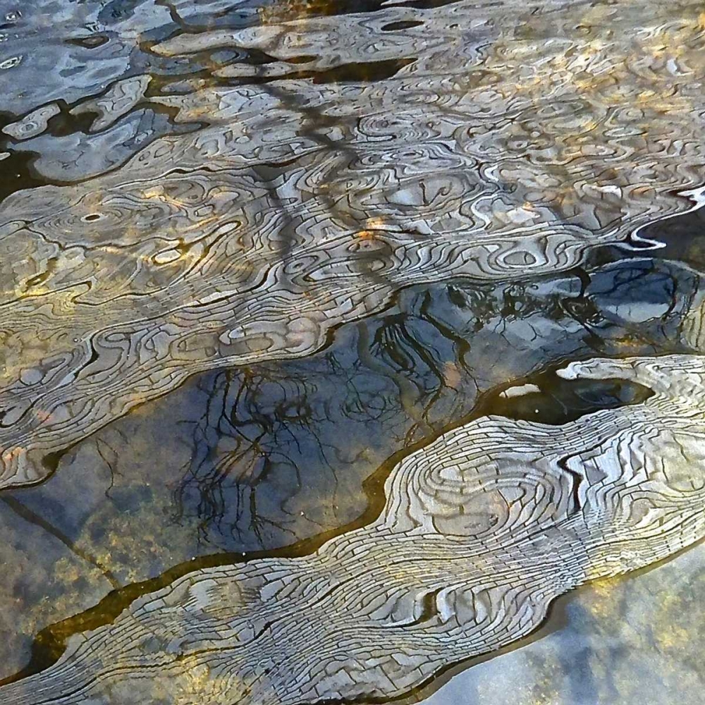 Abstract Reflections I art print by Monika Burkhart for $57.95 CAD