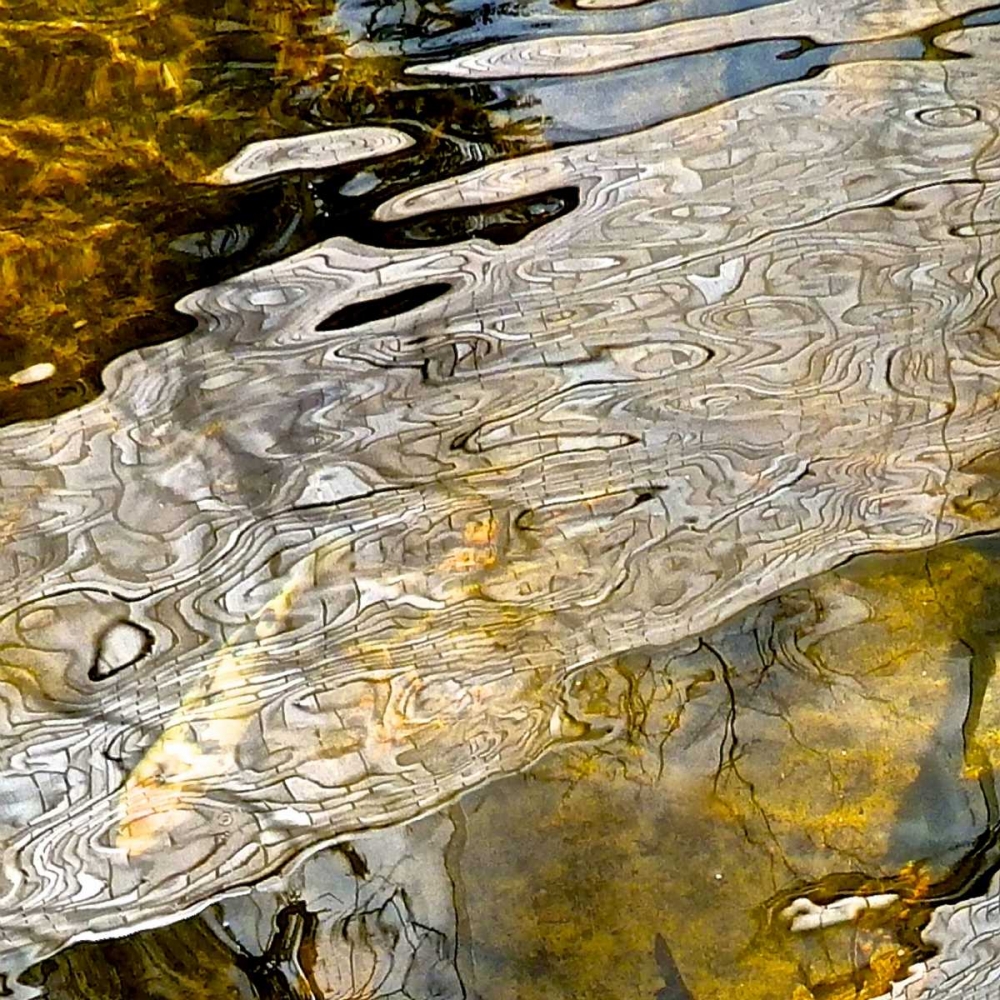 Abstract Reflections II art print by Monika Burkhart for $57.95 CAD