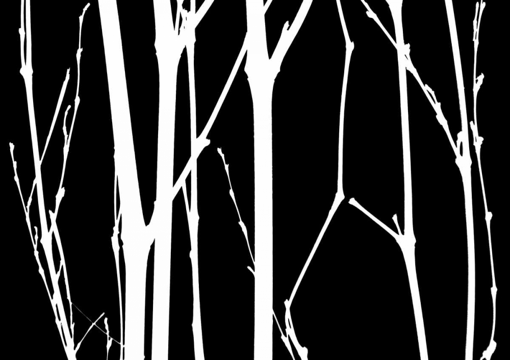Reverse Silhouette I art print by Monika Burkhart for $57.95 CAD