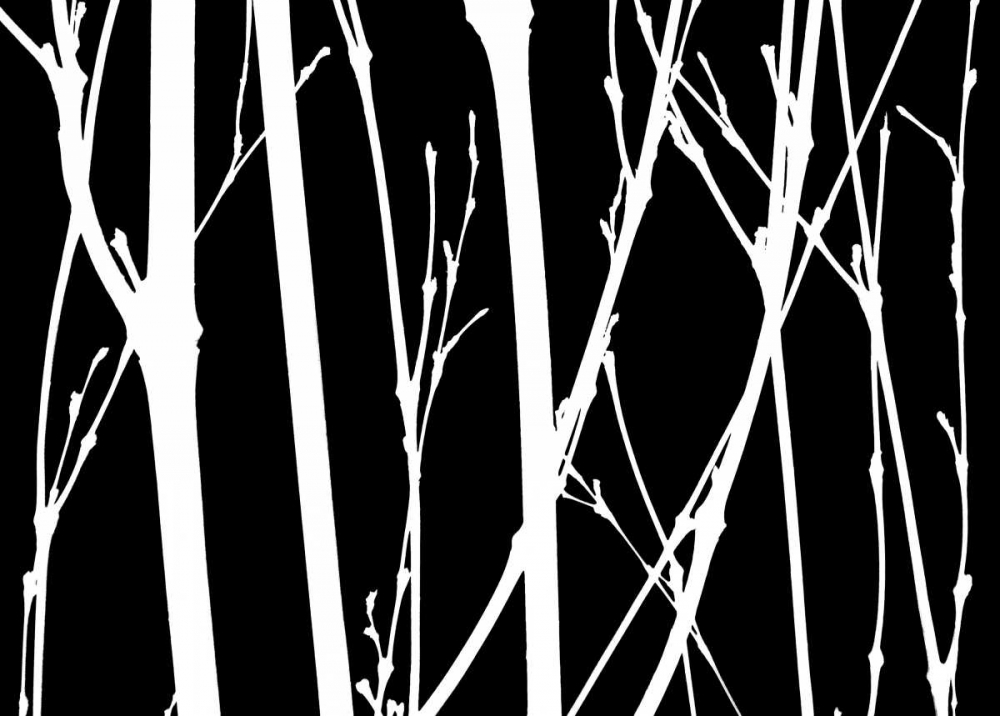 Reverse Silhouette II art print by Monika Burkhart for $57.95 CAD