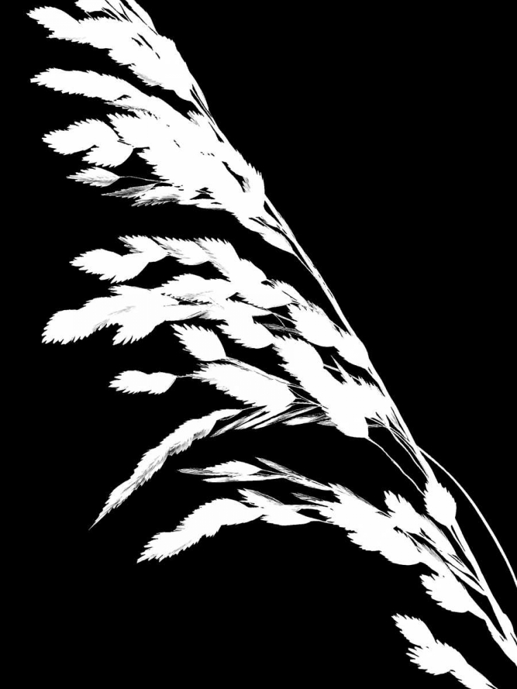 Soliloquy Reverse I art print by Monika Burkhart for $57.95 CAD
