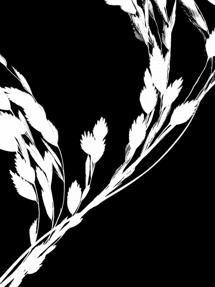 Soliloquy Reverse II art print by Monika Burkhart for $57.95 CAD