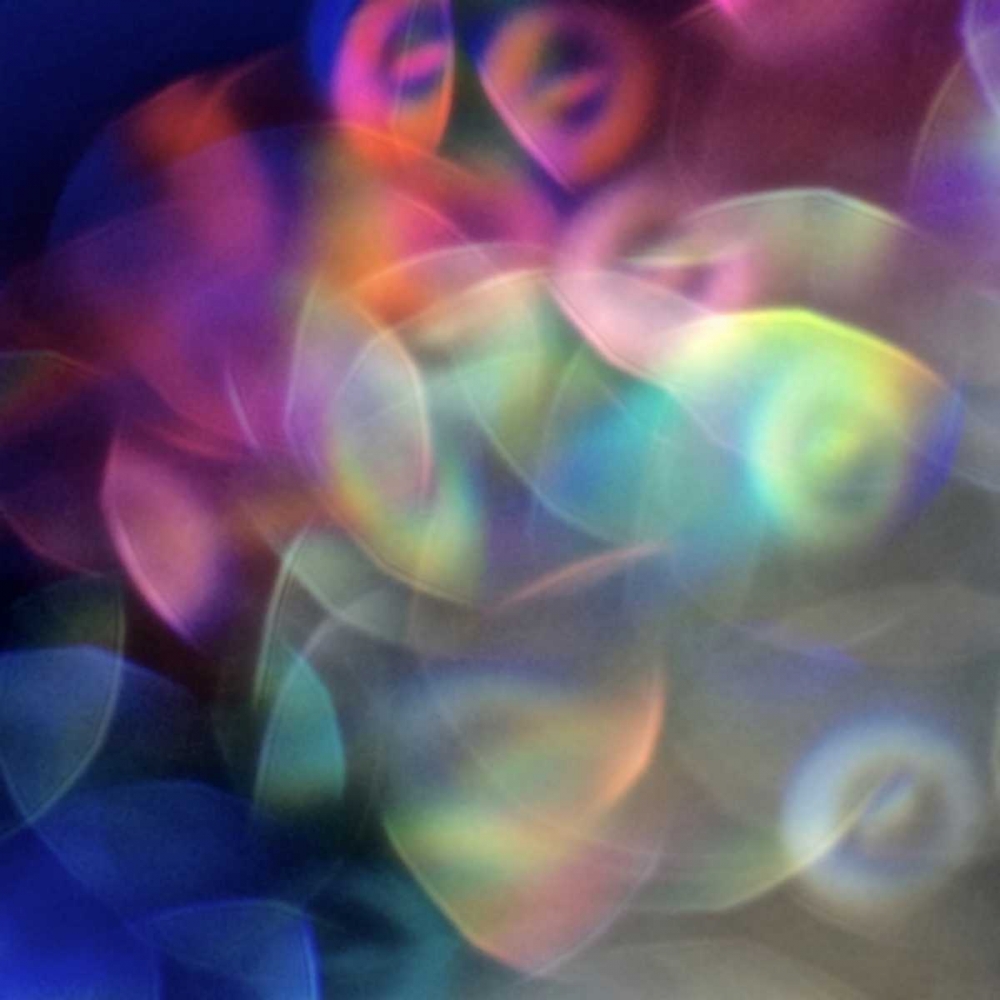 Bedazzled II art print by Monika Burkhart for $57.95 CAD