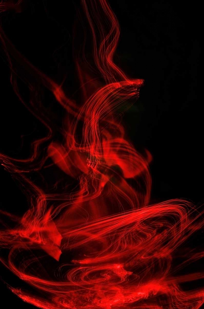 Flamenco II art print by Monika Burkhart for $57.95 CAD
