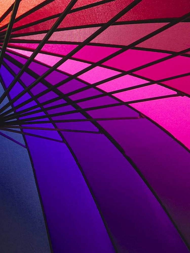Rainglo II art print by Monika Burkhart for $57.95 CAD