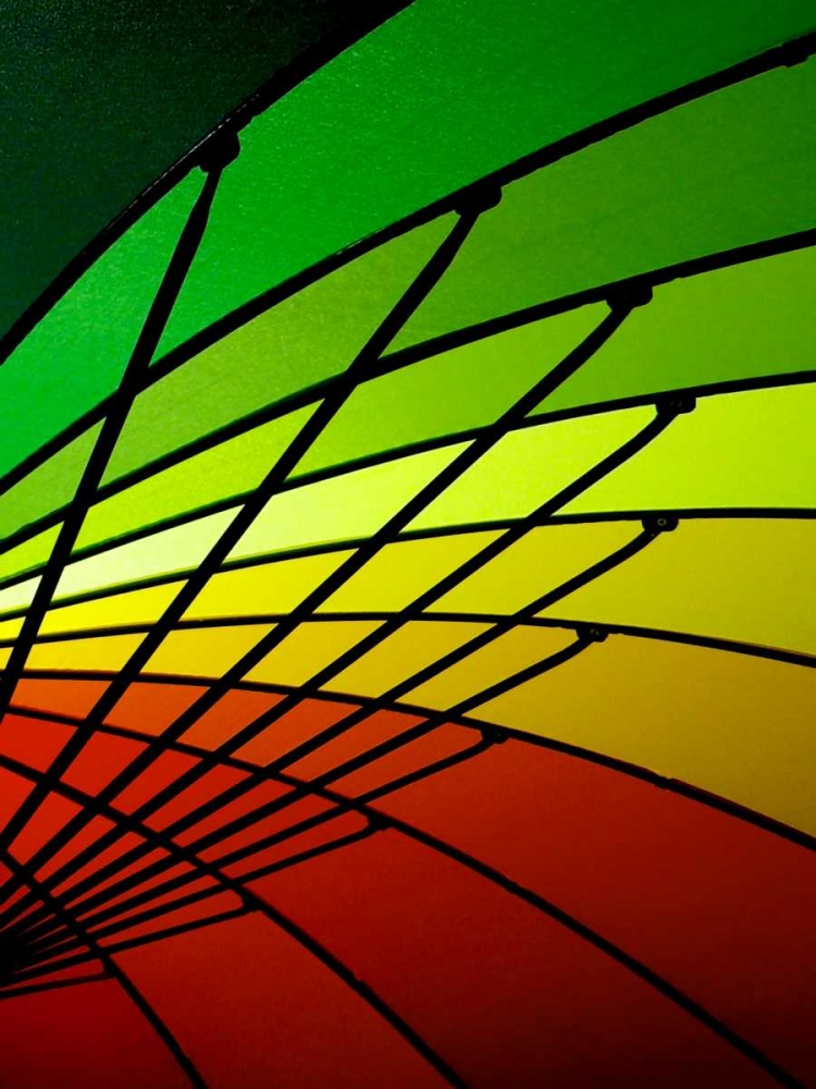 Curves of Color I art print by Monika Burkhart for $57.95 CAD