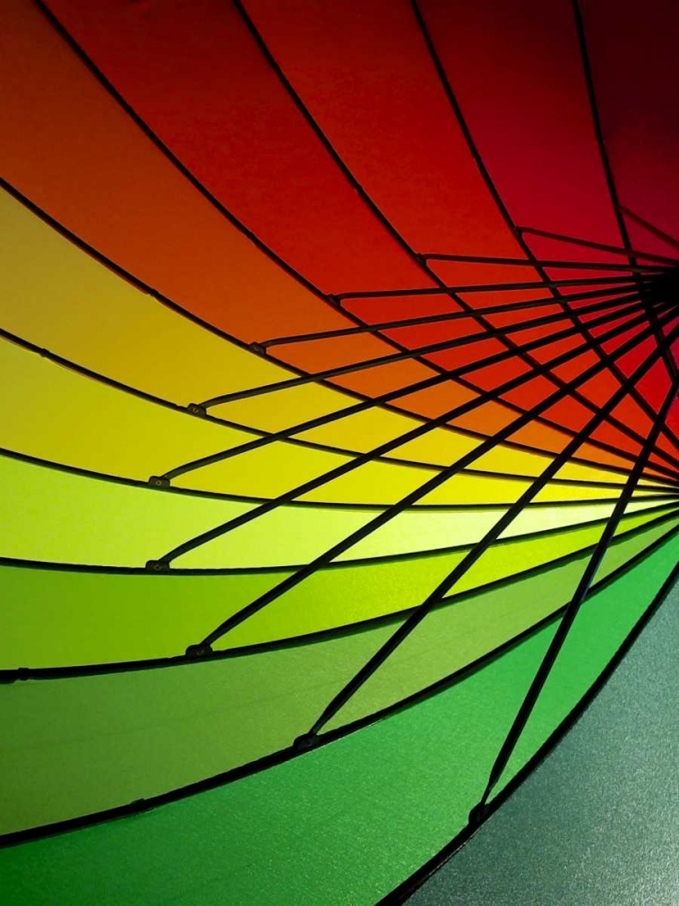Curves of Color II art print by Monika Burkhart for $57.95 CAD