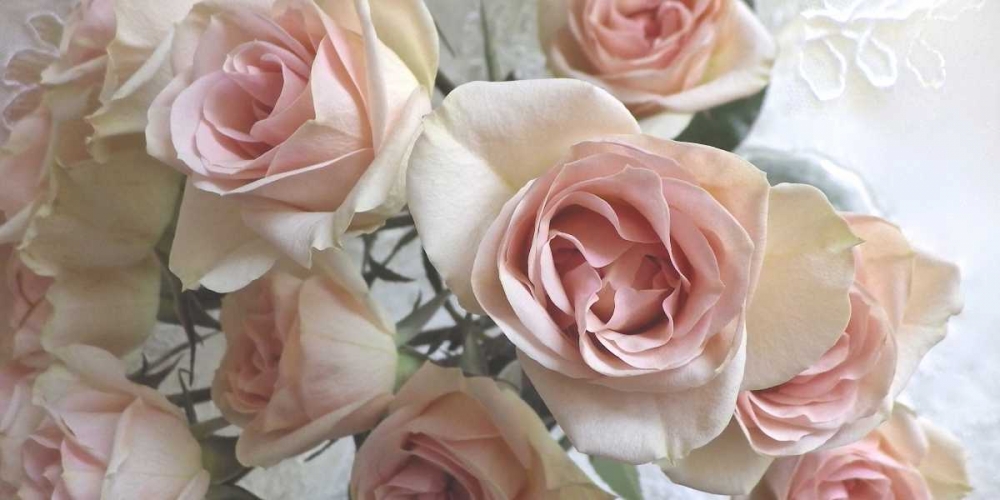 Summer Romance III art print by Monika Burkhart for $57.95 CAD