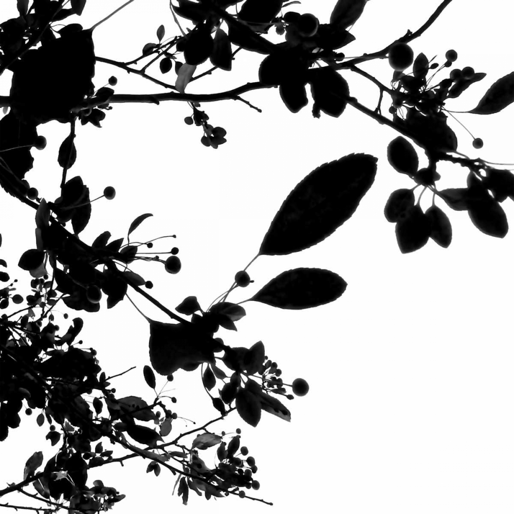 Last of Summer I art print by Monika Burkhart for $57.95 CAD