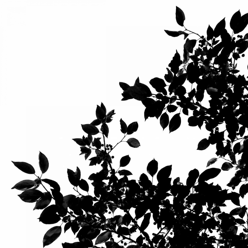 Last of Summer II art print by Monika Burkhart for $57.95 CAD