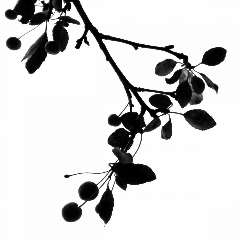 Last of Summer III art print by Monika Burkhart for $57.95 CAD