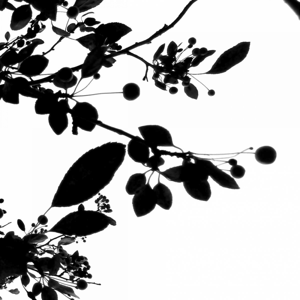 Last of Summer IV art print by Monika Burkhart for $57.95 CAD