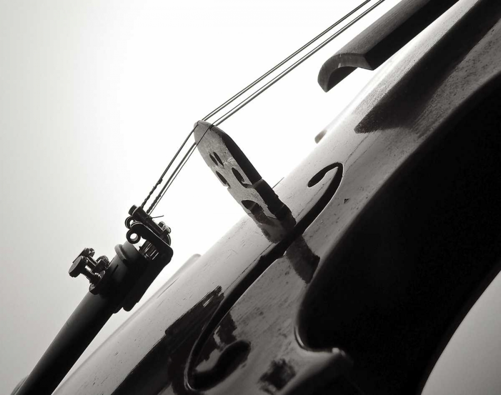 Violin I art print by Monika Burkhart for $57.95 CAD