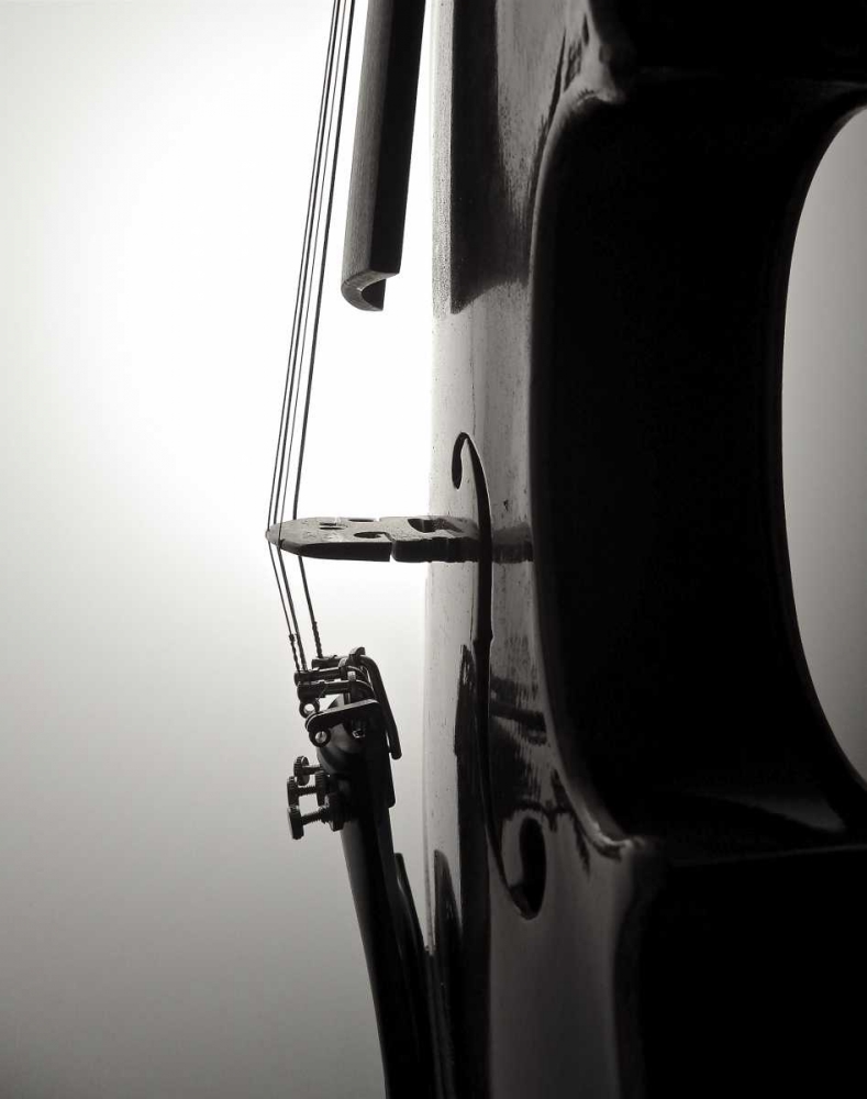 Violin II art print by Monika Burkhart for $57.95 CAD