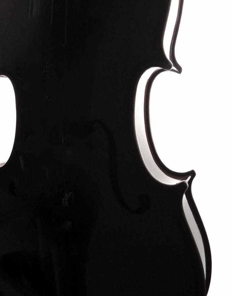 Violin Curves art print by Monika Burkhart for $57.95 CAD