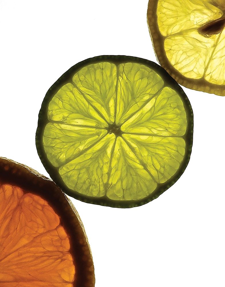 Sliced Fruit III art print by Monika Burkhart for $57.95 CAD
