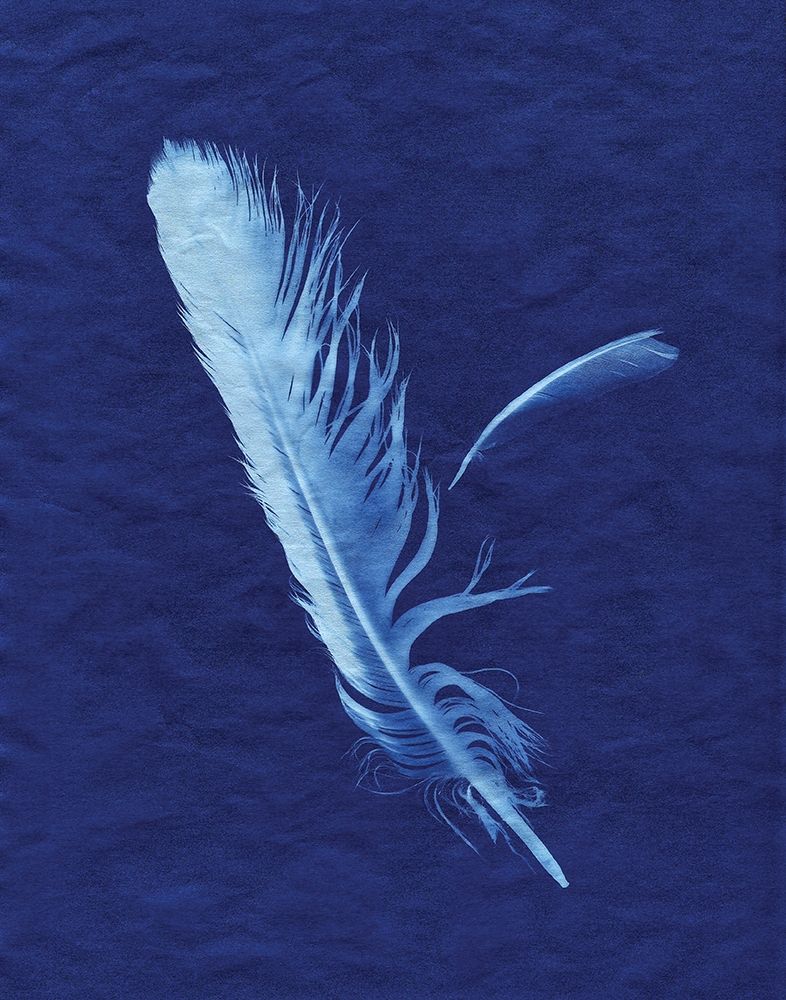 Indigo Feather I art print by Monika Burkhart for $57.95 CAD