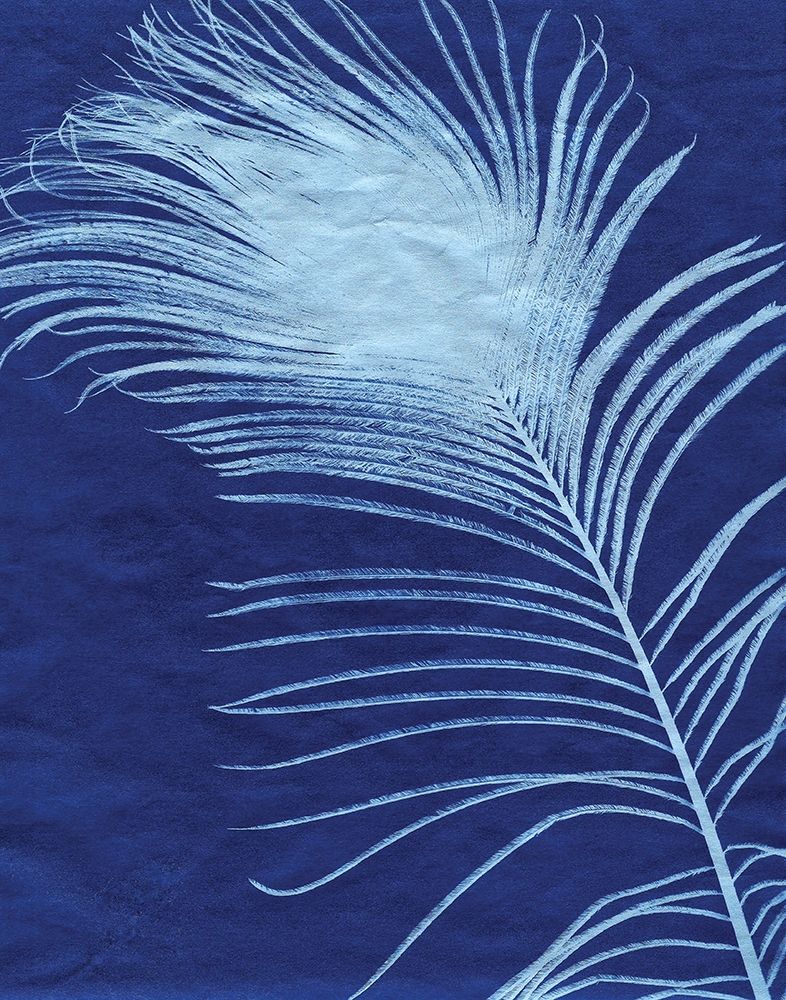 Indigo Feathers III art print by Monika Burkhart for $57.95 CAD