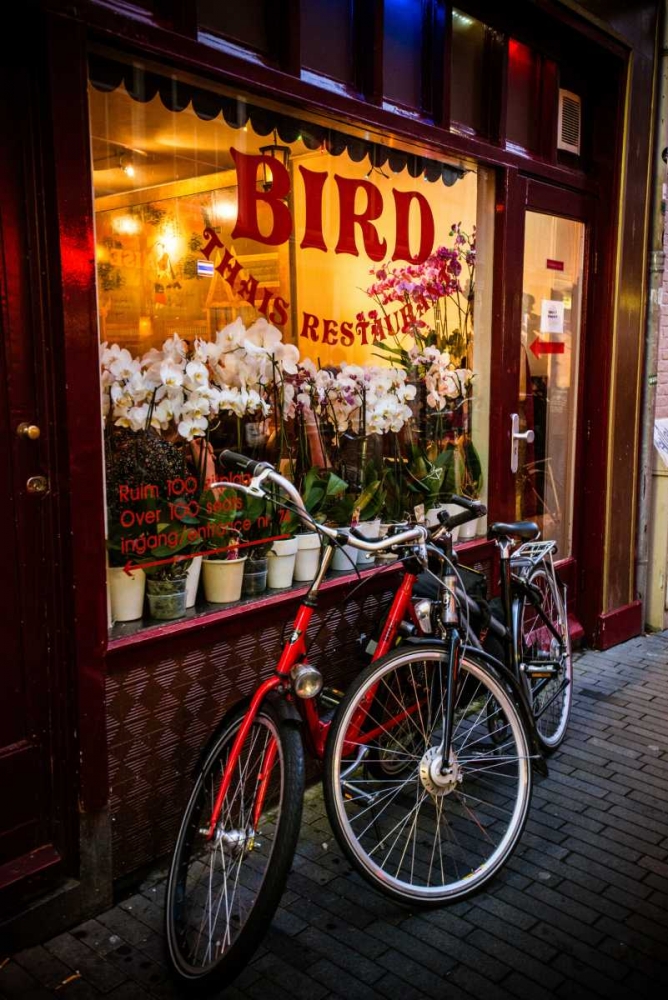 Thai in Amsterdam art print by Erin Berzel for $57.95 CAD