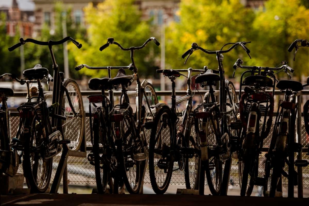 Bicycle Silhouettes II art print by Erin Berzel for $57.95 CAD