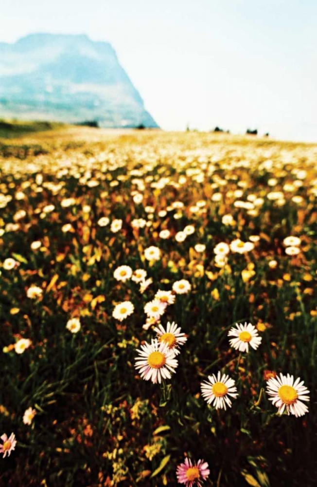 Mountain Summer I art print by Erin Berzel for $57.95 CAD