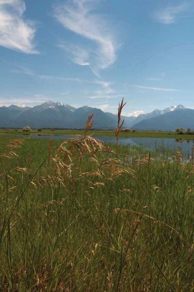 Mission Mountain Range art print by Erin Berzel for $57.95 CAD