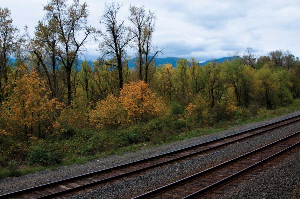 Union Pacific IV art print by Erin Berzel for $57.95 CAD