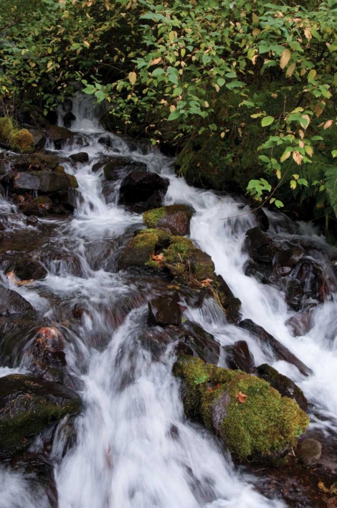 Wahkeena Falls I art print by Erin Berzel for $57.95 CAD