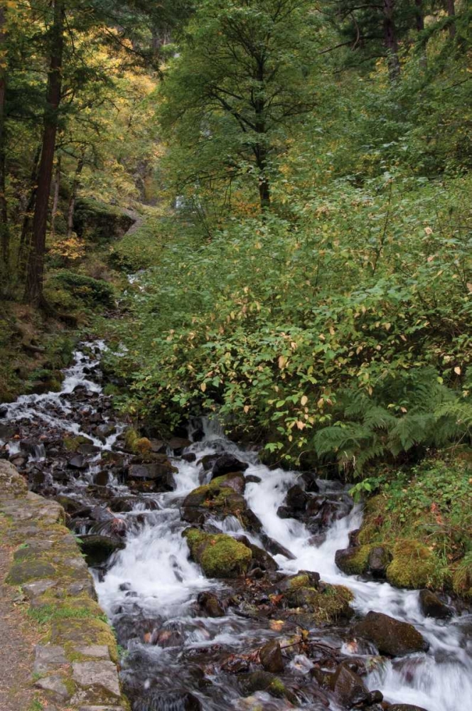 Wahkeena Falls IV art print by Erin Berzel for $57.95 CAD