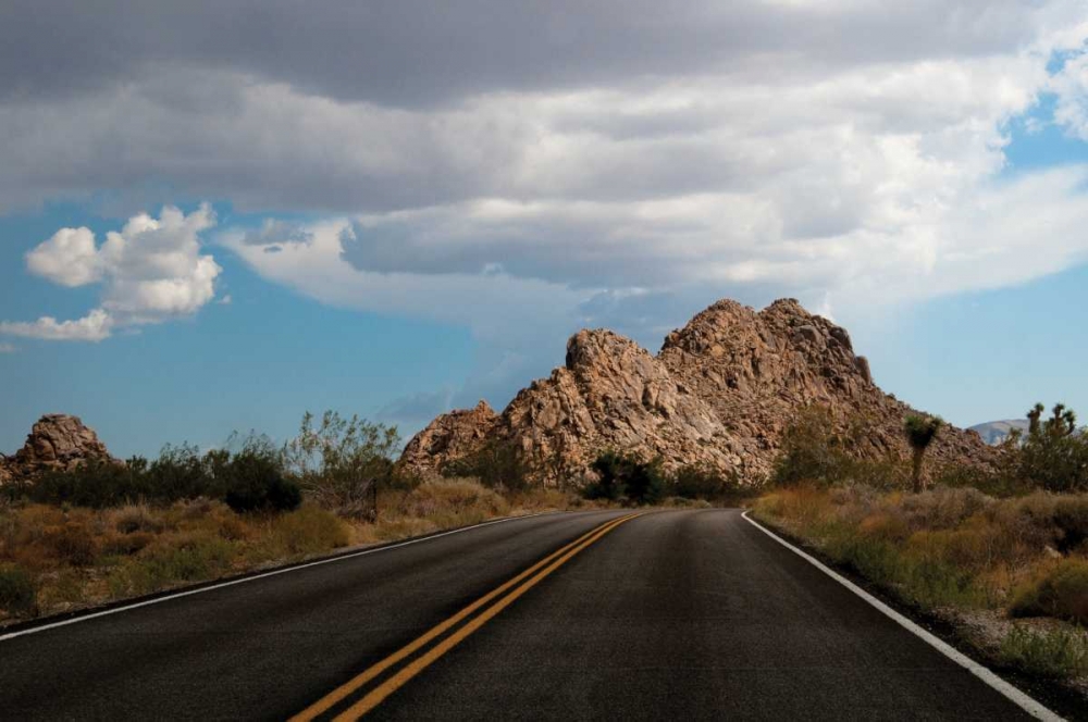 Joshua Tree National Park I art print by Erin Berzel for $57.95 CAD