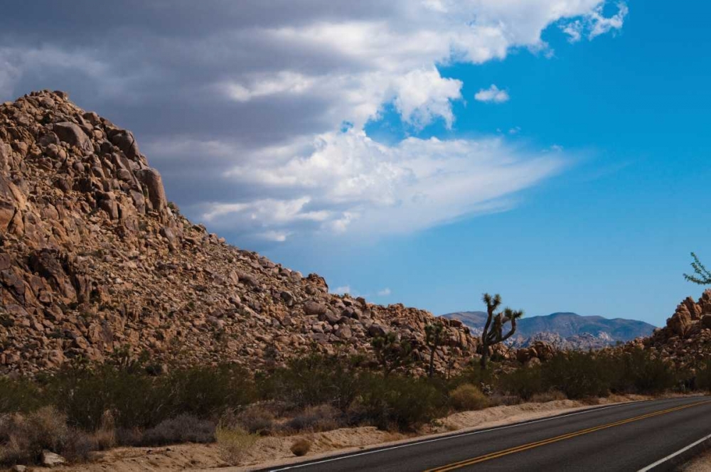 Joshua Tree National Park II art print by Erin Berzel for $57.95 CAD