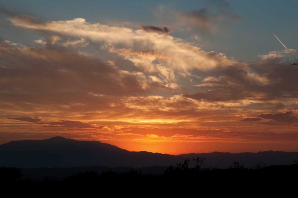 Sunset in Joshua Tree I art print by Erin Berzel for $57.95 CAD