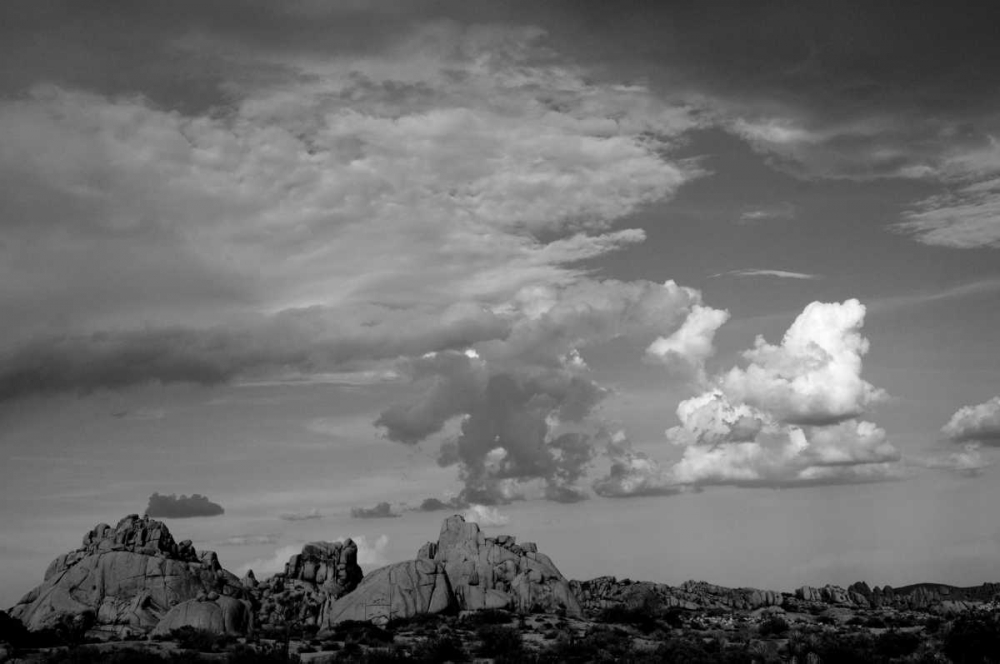 Clouds in Joshua Tree I art print by Erin Berzel for $57.95 CAD