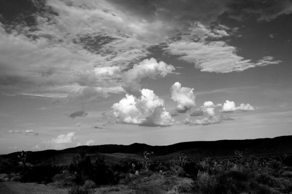 Clouds in Joshua Tree II art print by Erin Berzel for $57.95 CAD