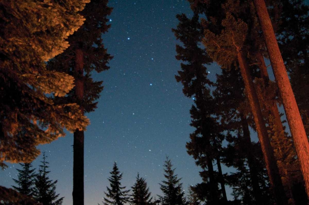 Starry Night I art print by Erin Berzel for $57.95 CAD