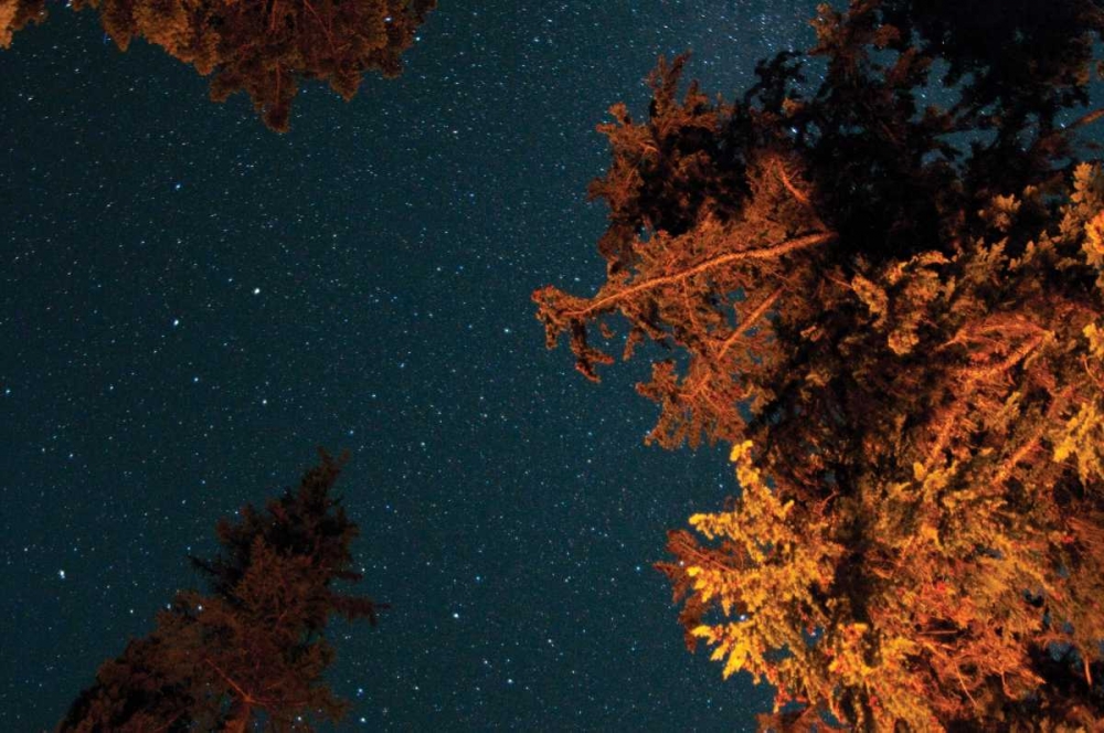 Starry Night II art print by Erin Berzel for $57.95 CAD