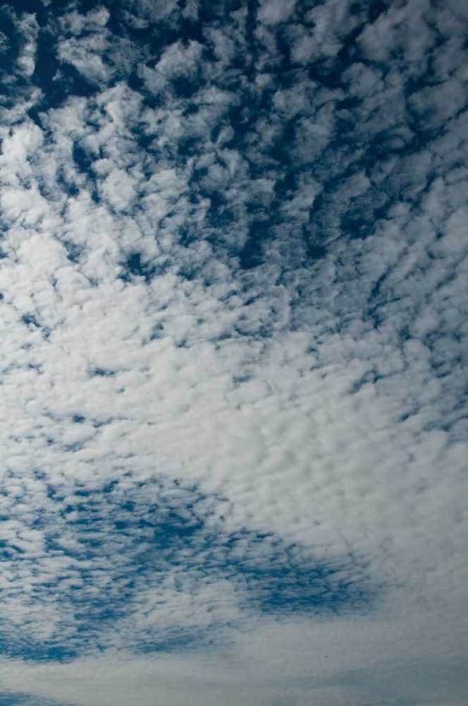 In the Clouds I art print by Erin Berzel for $57.95 CAD