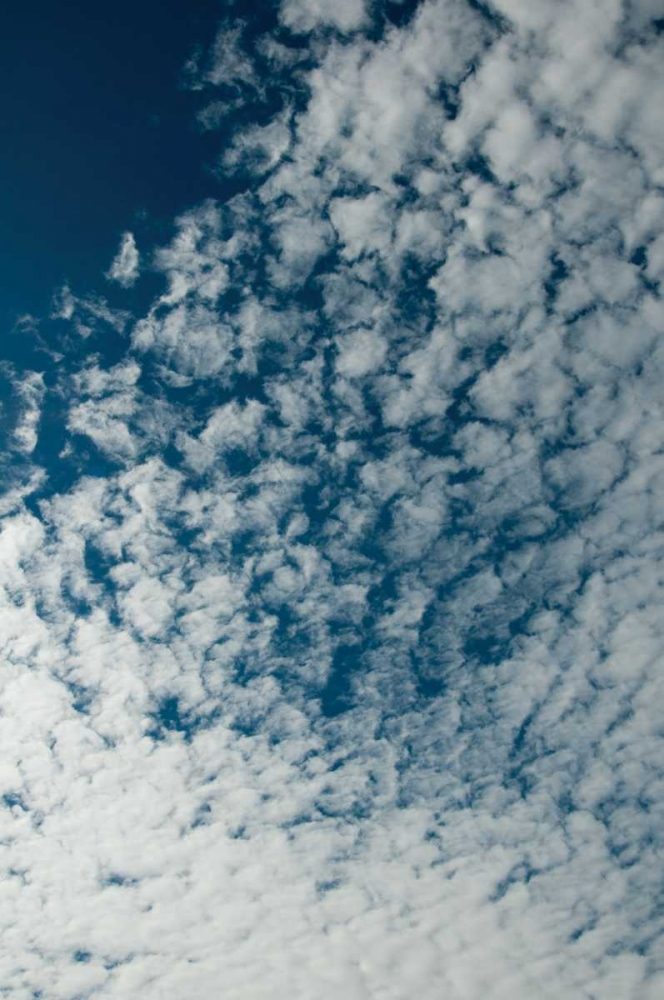 In the Clouds II art print by Erin Berzel for $57.95 CAD