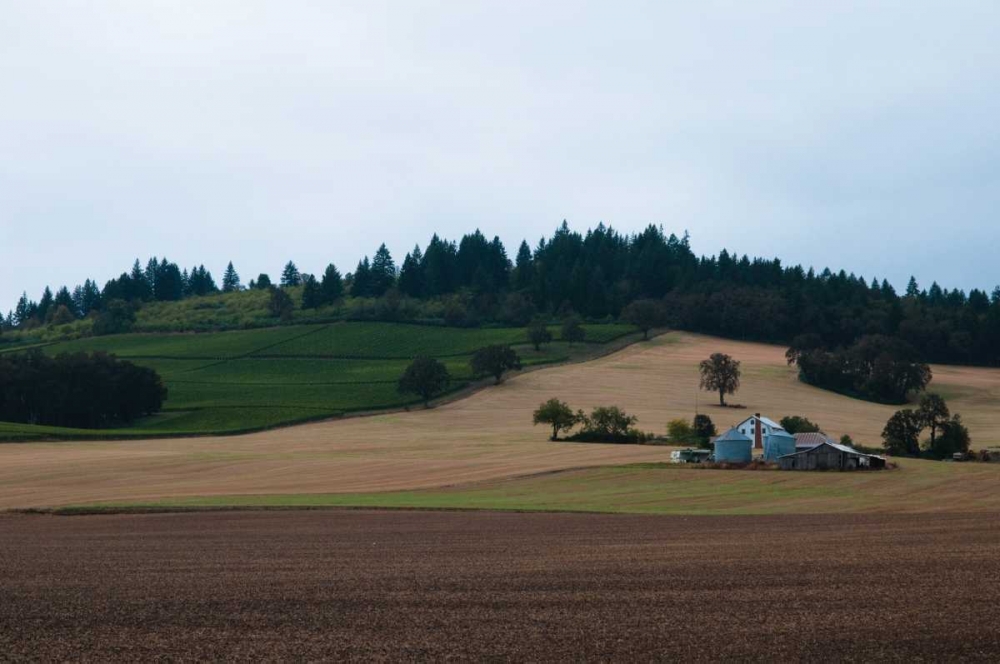 Dayton Oregon I art print by Erin Berzel for $57.95 CAD