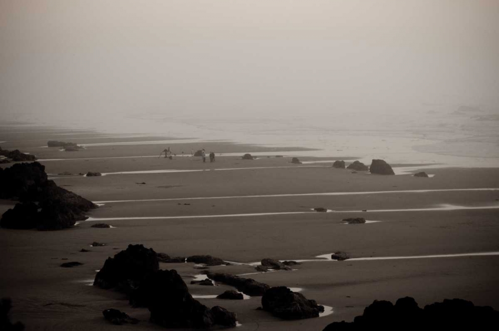 Beach at Seal Rock I art print by Erin Berzel for $57.95 CAD
