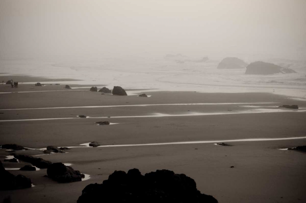 Beach at Seal Rock II art print by Erin Berzel for $57.95 CAD