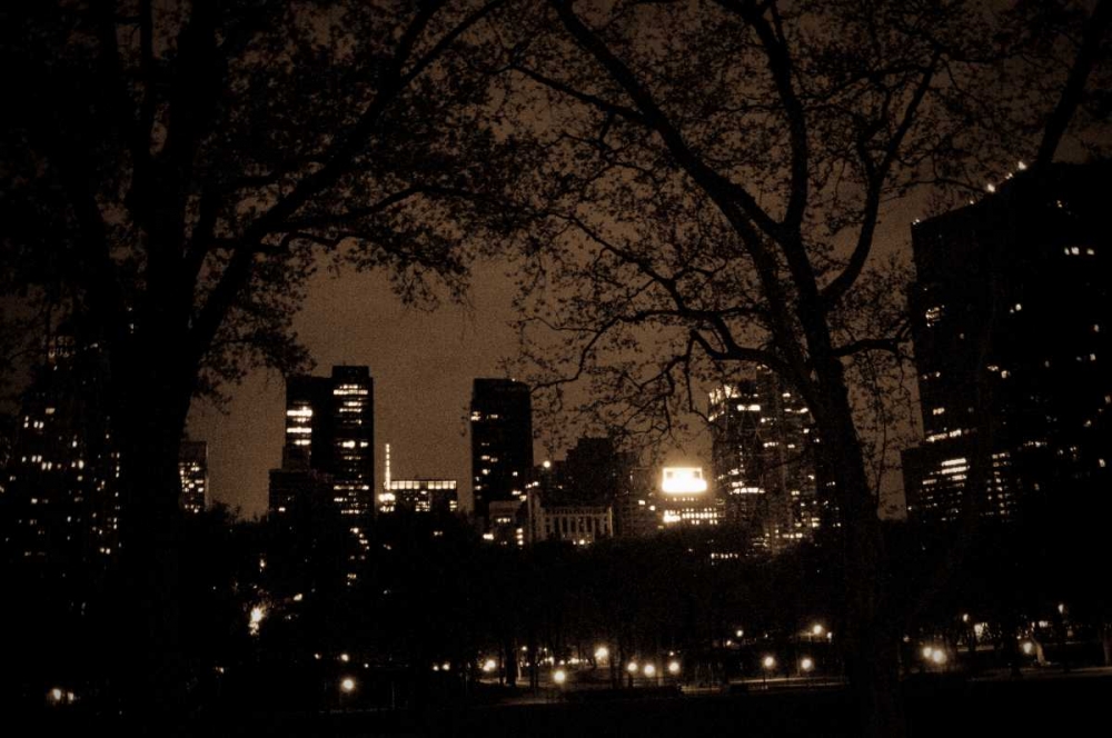 Central Park at Night I art print by Erin Berzel for $57.95 CAD