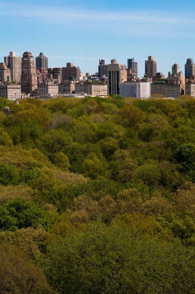 Central Park I art print by Erin Berzel for $57.95 CAD