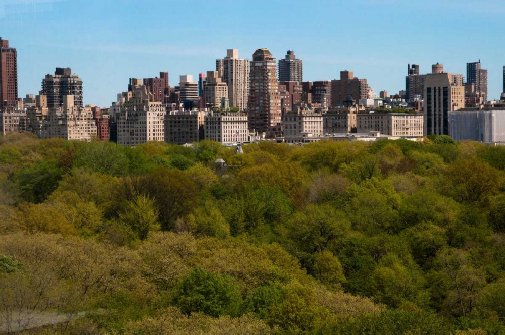 Central Park II art print by Erin Berzel for $57.95 CAD
