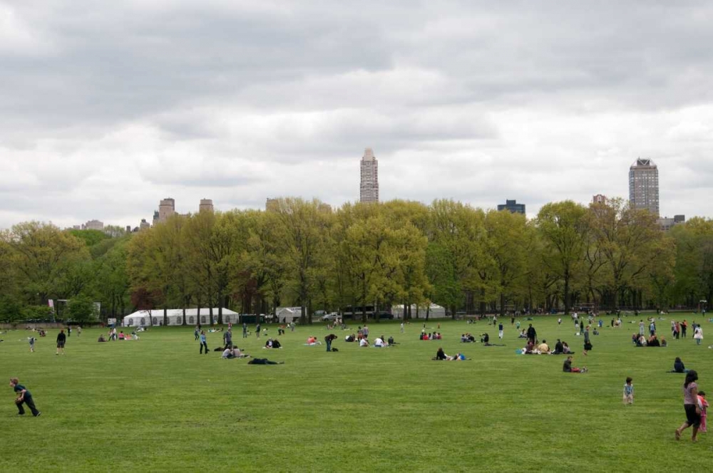 Spring in Central Park art print by Erin Berzel for $57.95 CAD