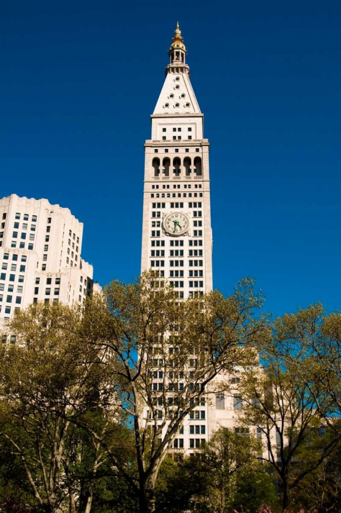 Madison Square Park art print by Erin Berzel for $57.95 CAD
